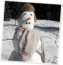 Every donation over $100 will recieve a cozy fleece ASF scarf